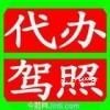 路政機(jī)動(dòng)車(chē)駕駛員培訓(xùn)基地 專業(yè)駕駛技能與安全意識(shí)的搖籃